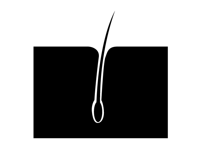 毛根 | 永久 - シンプル / クリップアート / アイコン / イラスト / 無料 / 白黒 / 二色 / PNG形式：背景透明