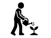 Pictogram of a person using a watering can to water a small sprout in the ground