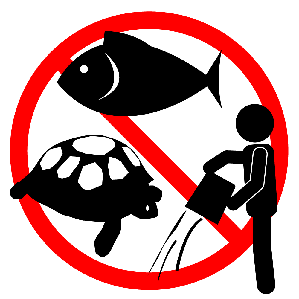 ペット（魚・カメ）を川・池に放すな - シンプル / クリップアート / アイコン / イラスト / 無料 / 白黒 / 二色 / PNG形式：背景透明